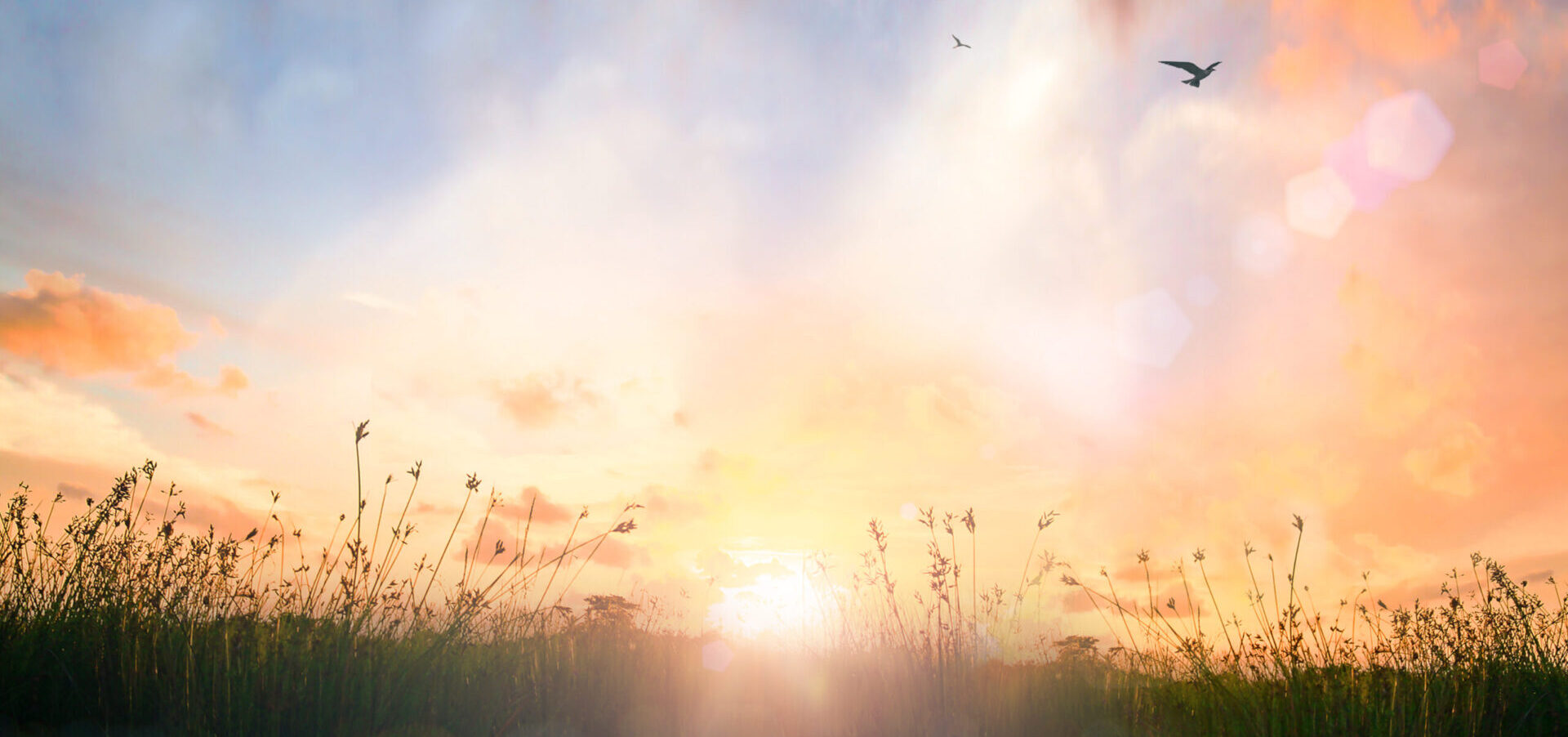 メインビジュアル01（PC）